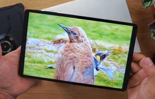 Xiaomi Black Shark Gaming Tablet Price in Bangladesh